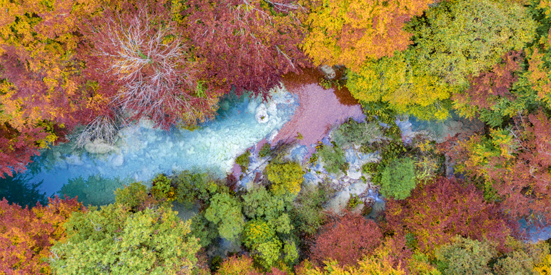 Nacedero del Urederra en otoño